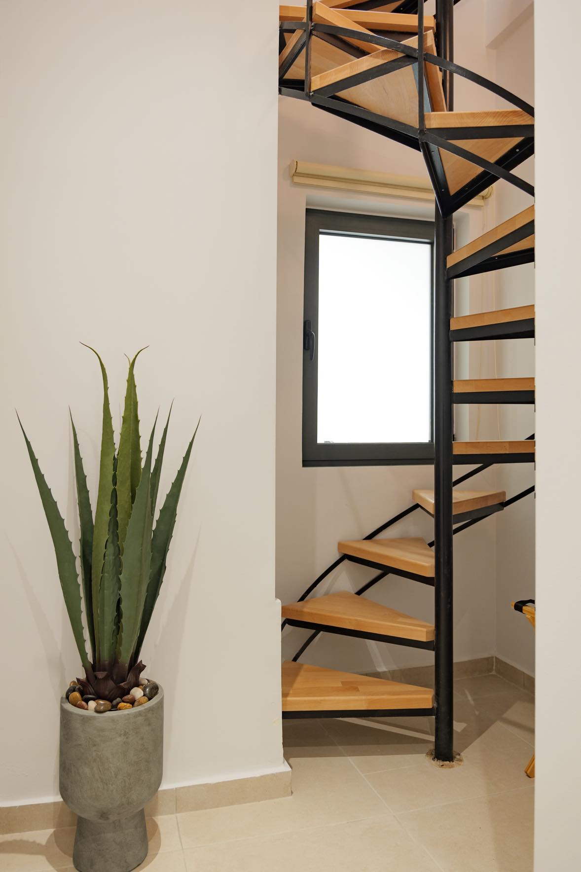 Sole Loft — photo 16